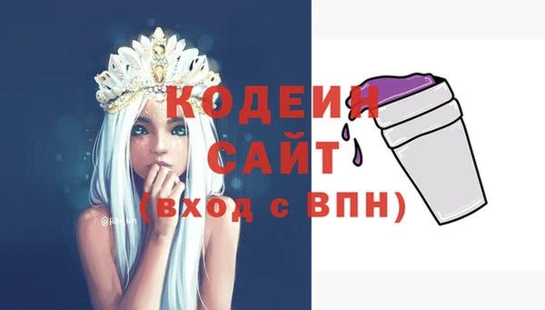 индика Снежинск
