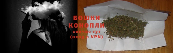 гидра Армянск