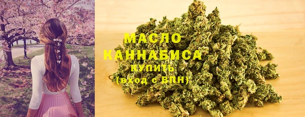 гидра Армянск