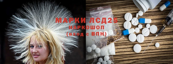 PSILOCYBIN Аркадак