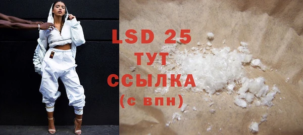 PSILOCYBIN Аркадак